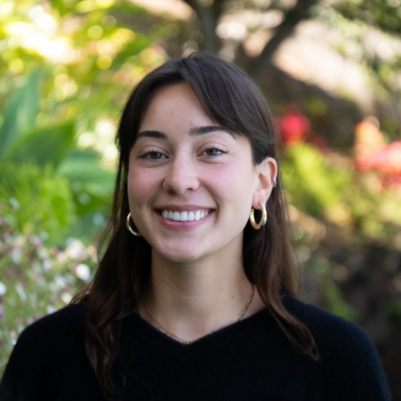 Nora Povejsil on LinkedIn